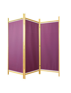 ROOM SCREEN PROMO FARBE